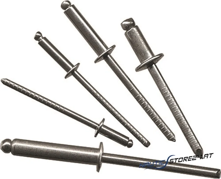Stainless steel rivets | Dimensions: 3x8mm
