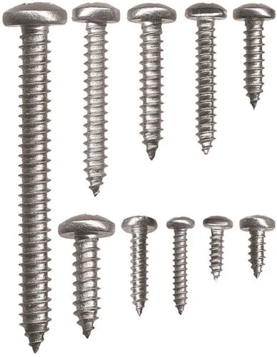 Stainless steel sheet metal screws half round head | Dimensions: 5.5x60mm